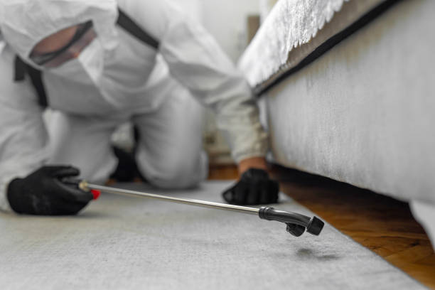 Professional Bed Bug Control technician working in Mosinee, WI